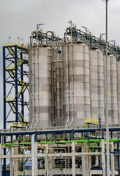 Screenshot-2025-07-31-at-09.05.59 Screenshot-2025-07-31-at-09.05.59